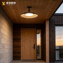 New Solar Lights, Solar Garden Lights, Garden Landscape Super Bright Lamps, Ceiling-Mounted Chinese-Style Lamps, Energy-Saving and High-Value