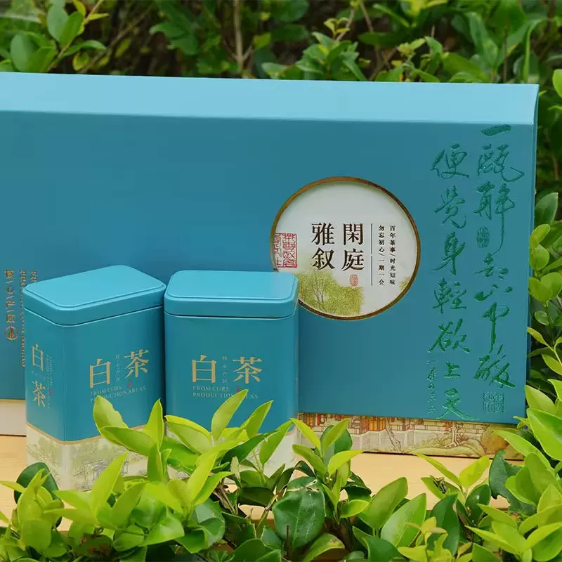 浙江安吉白茶新茶湖州源头产地白茶高档礼盒装礼品明前茶送礼