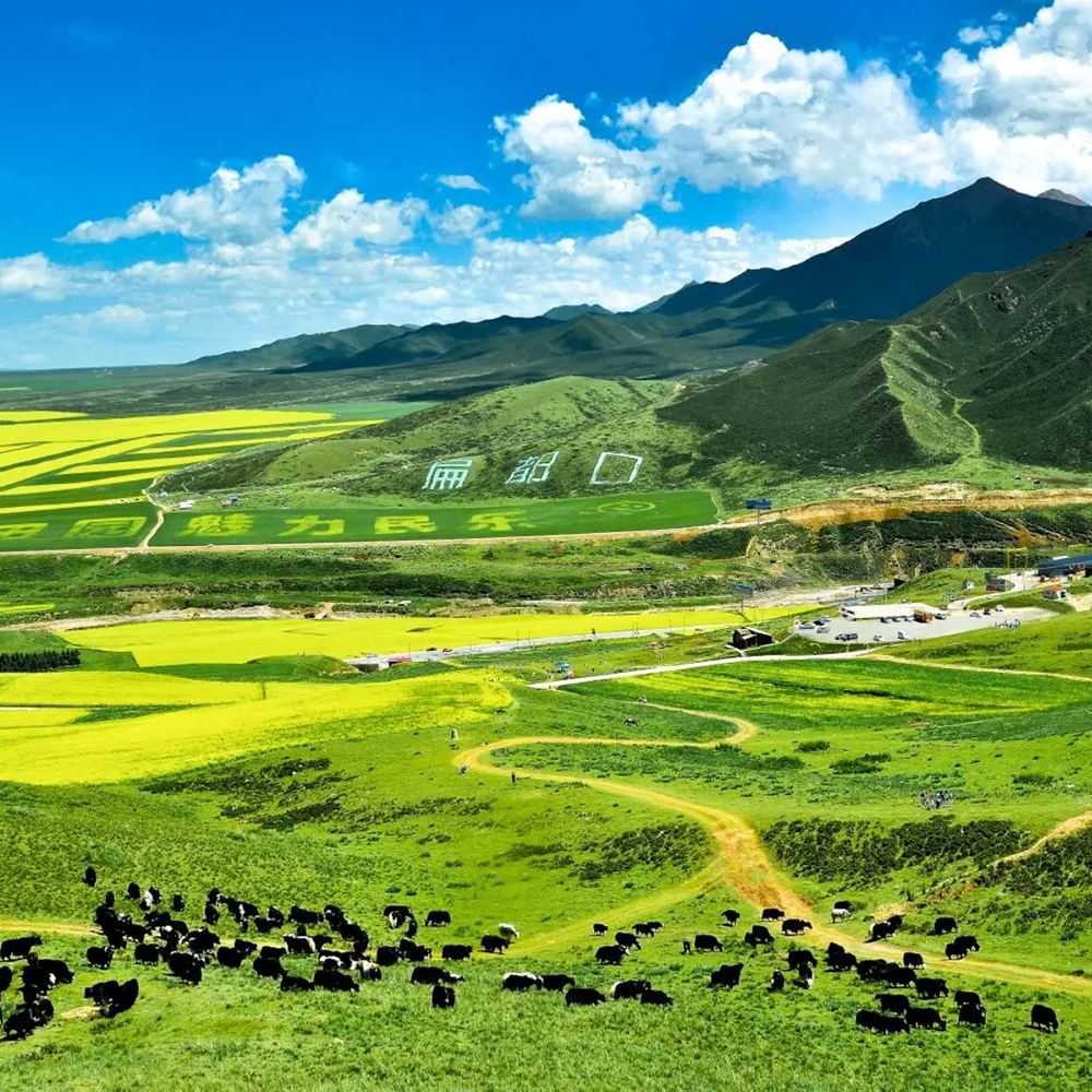 张掖旅游到扁都口马蹄寺纯玩一日游张掖西站市区接送含门票