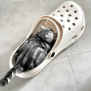 
New large foreign trade hot-selling tbwbmekc giant dog slippers toy cat nest hole shoe type hole creation funny