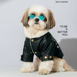 Dog and Cat Pet Clothing Autumn and Winter Fleece-Lined Thickened Denim Cotton Clothing Half-Length Warm Stylish Leather Jacket Collection