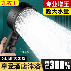 Pressurized Shower Head for Home Bathroom Water Heater, Shower Set with Pressurized Rain Shower Head and Bath Heater