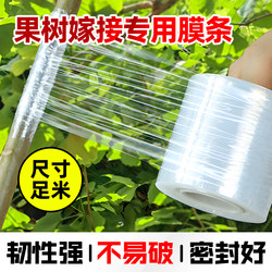 Special Film Strips for Grafting Fruit Trees, Knot-Free Transparent Stretch Plastic Film, Self-Adhesive Agricultural Film, Wrapping Film