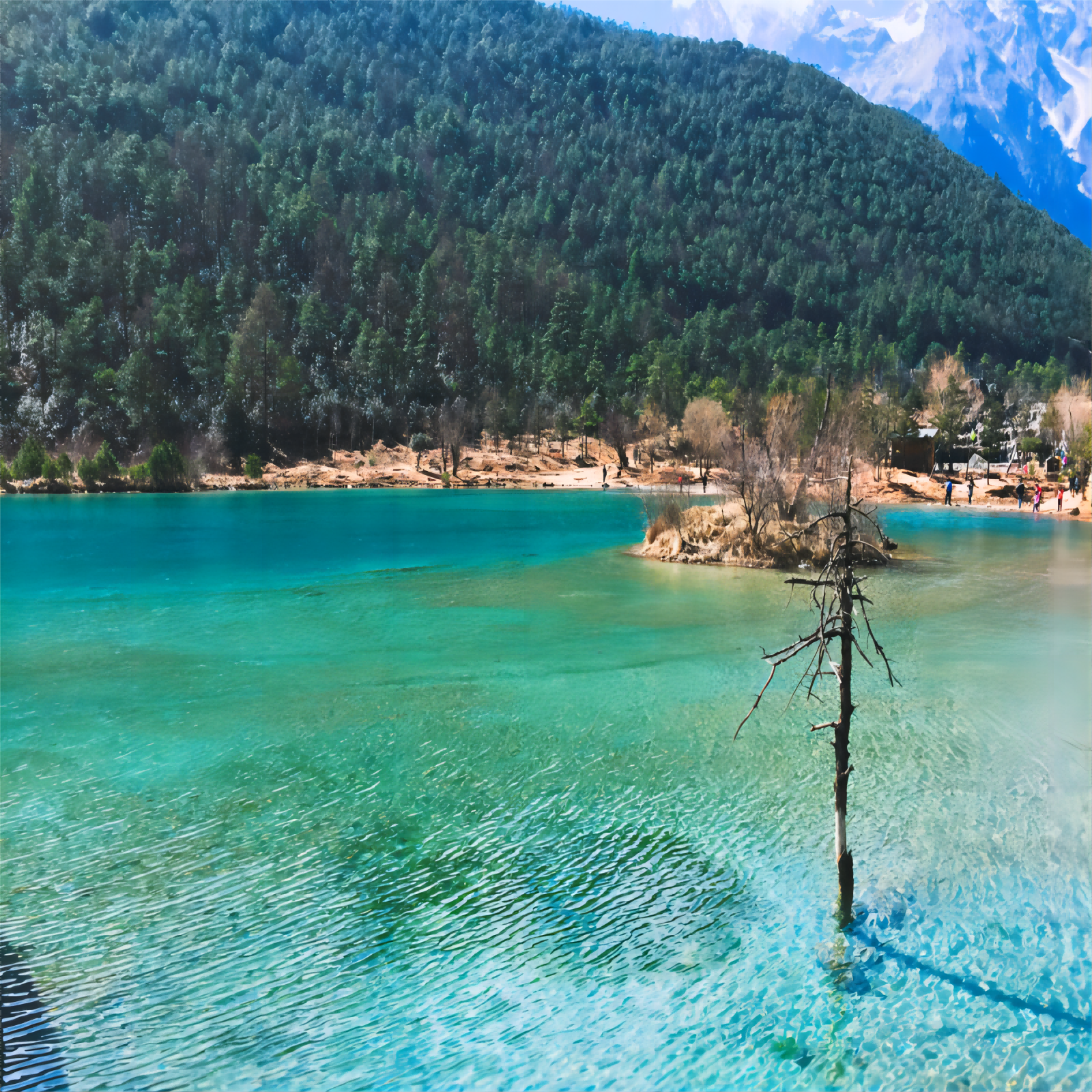 2-6人纯玩小团云南旅游丽江大理沙溪扎染骑行旅拍亲子蜜月5日游