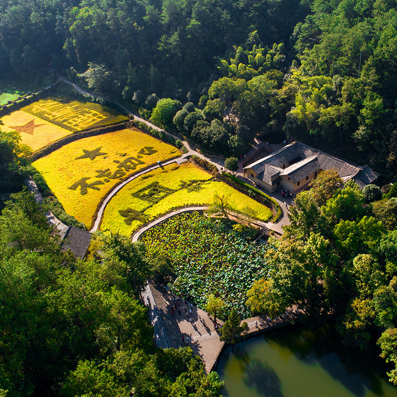 【自驾专拍】韶山旅游毛泽东故居+景区讲解+门票预约+代办通行证