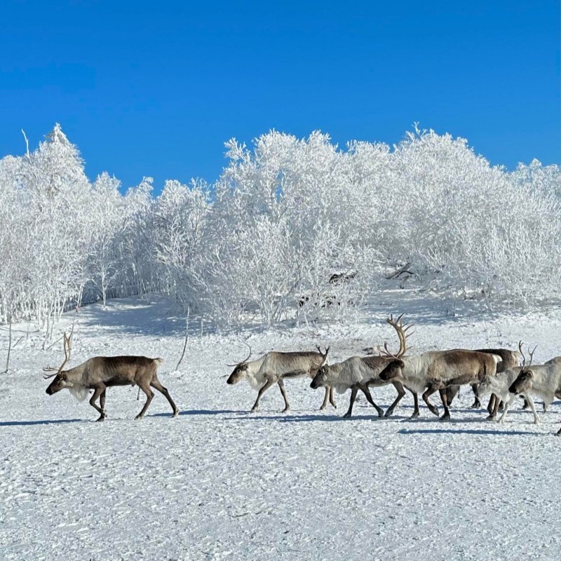 长白山3天2晚游2-6人烟花魔界漂流滑雪蓝景温泉雪岭宿高档型酒店