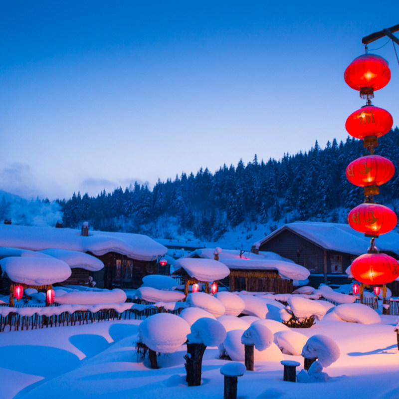 【2-12人小团】东北哈尔滨漠河旅游亚布力雪乡北极村6天5晚跟团