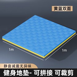 Sports Soundproof and Shock-Absorbing Mat, Taekwondo Floor Mat, Professional Fitness Dance Home Martial Arts Foam 1m Fighting