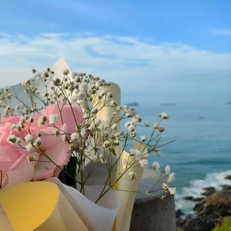 福建厦门旅游东山岛鱼骨沙洲南门湾苏峰山8人团海鲜餐纯玩一日游