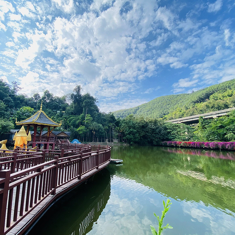 【省内动车往返】云南西双版纳4天3晚纯玩跟团游野象谷傣族园泼水