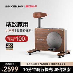 Jueying Mini Spinning Bike for Home Use, Small Indoor Silent Exercise Gym Equipment, Special for Weight Loss