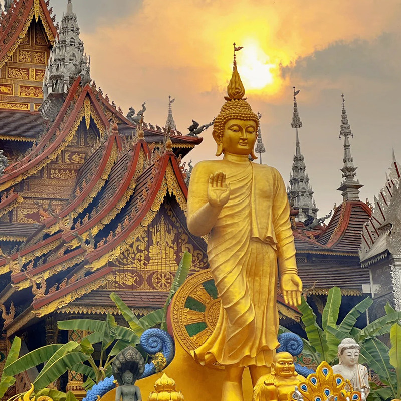 【广州出发】西双版纳亲子游勐泐大佛寺植物园雨林徒步跟团5日游