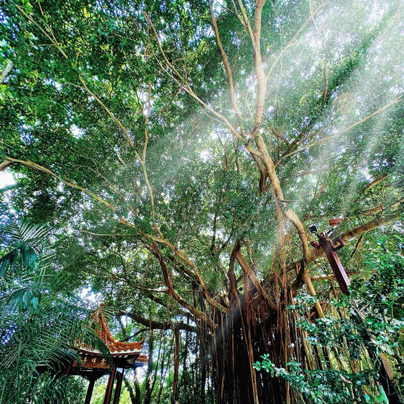 【广州出发】新兴龙山温泉酒店直通车半自由行纯玩2日游