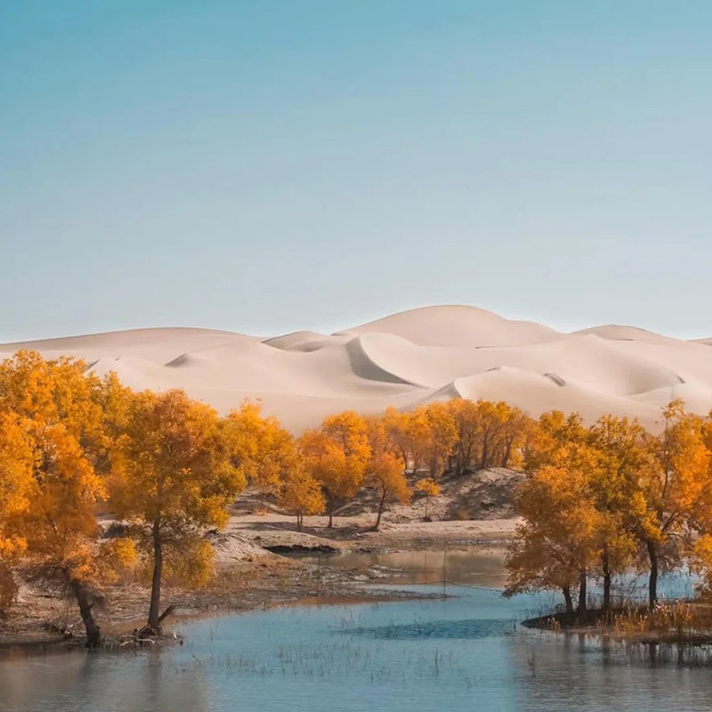 【广州出发】南疆秘境白沙湖瓦罕走廊喀什古城纯玩双飞跟团8日游