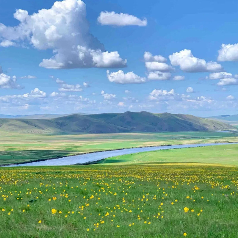 广州出发内蒙古呼和浩特5天4晚希拉穆仁草原响沙湾七星湖跟团游