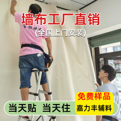 Wall Covering Installation with a High-End Feel, 2026 New Seamless Wall Covering for the Whole House, Living Room, Bedroom Background, On-Site Renovation Wallpaper