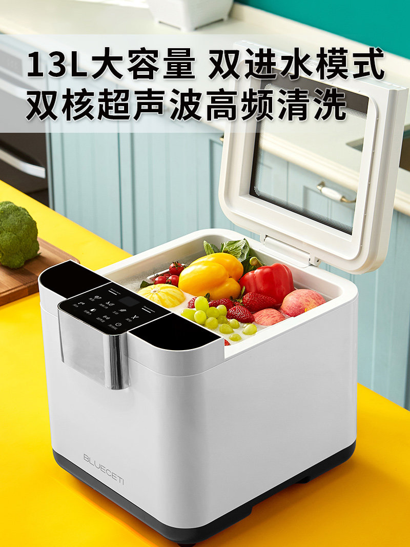 QX03 Home Two Bin Meat And Vegetable Cleaning Machine US Plug Neutral Machine