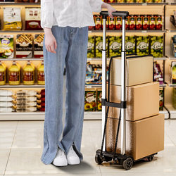 Folding Portable Shopping Cart for Groceries, Luggage, and Parcel Delivery