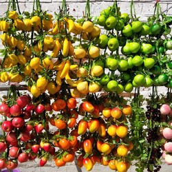 New Artificial Fruits and Vegetables, Fake Crop Props, Hanging String Foam Models, Farmhouse Restaurant Hanging Decorations