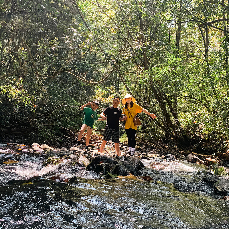 腾冲亲子5天4晚游高黎贡山轻徒步捡菌非遗美食温泉亲子房古镇民宿
