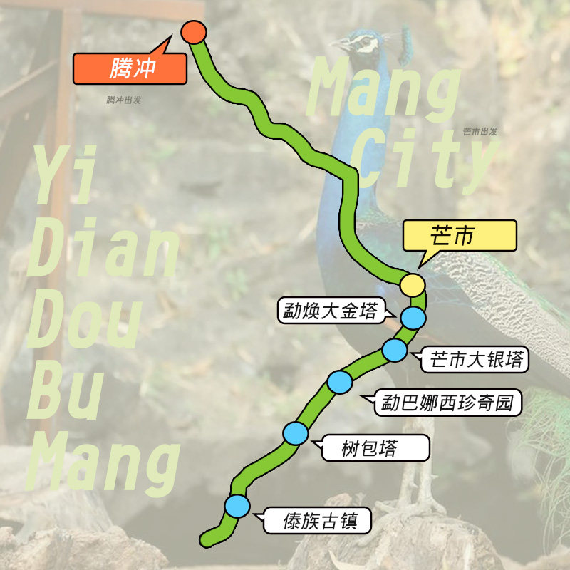 芒市不忙|芒市勐焕大金塔 勐焕银塔 珍奇园 树包塔傣族古镇一日游