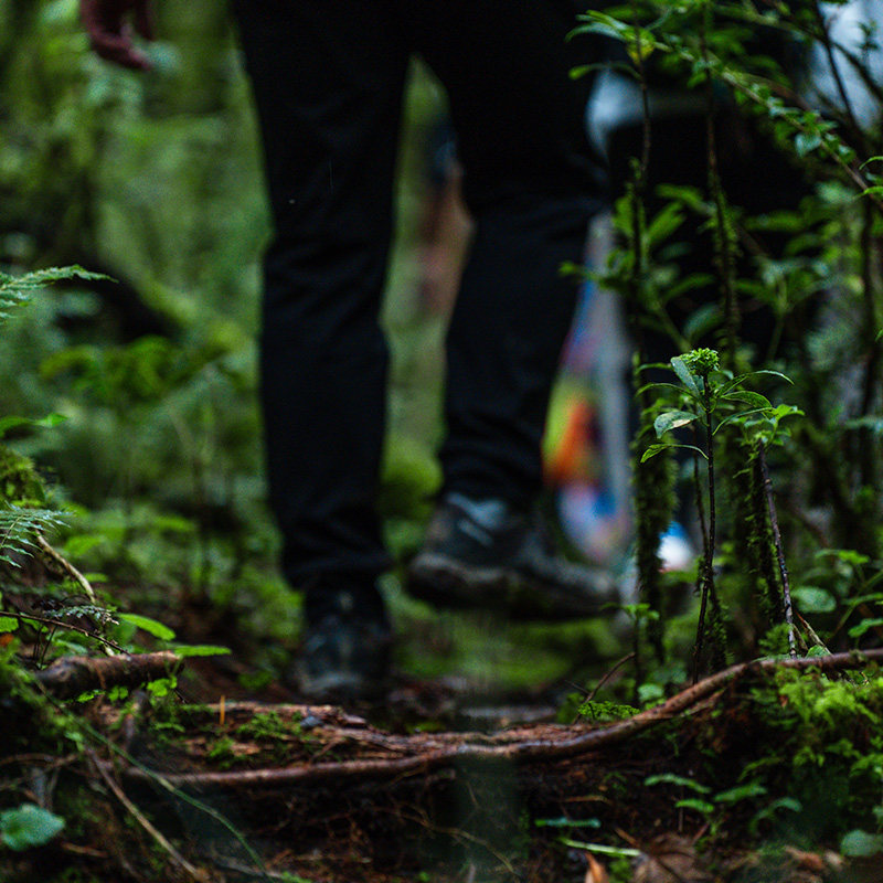 腾冲高黎贡山阿祖姆原始森林9公里徒步一日游 侏罗纪翡翠瀑布温泉