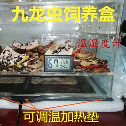 Oversized Kowloon Worm Breeding Box Breeding Box Breeding Box Acrylic Box Larva Feces Separator Insulation Formula