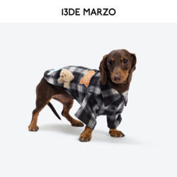 13De Marzo Pet Travel Bear Shirt Plaid Vintage Cat and Dog Two-Leg Snap Button Clothes Jacket