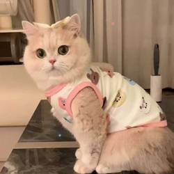 Pet Cat Clothes, Universal Vest for Dogs, Blue and Gold Gradient Ragdoll Cat and Kitten Spring and Summer New Anti-Shedding Clothing