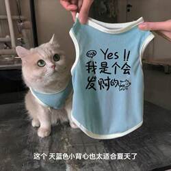 Cat and Dog Clothes for Spring and Summer, Pet Cat Silver Gradient Blue Cat Anti-Shedding Breathable Cute Cool Ice Silk Vest