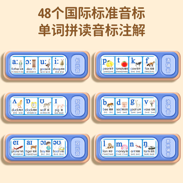 48 International Phonetic Symbols Audio Wall Charts English ...