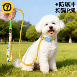 P-Chain P-Rop Dog Leash, Dog Walking Chain, Anti-Shock, Suitable for Small, Medium, and Large Dogs, Dog Training, Knot-Resistant, Bichon Pet Supplies