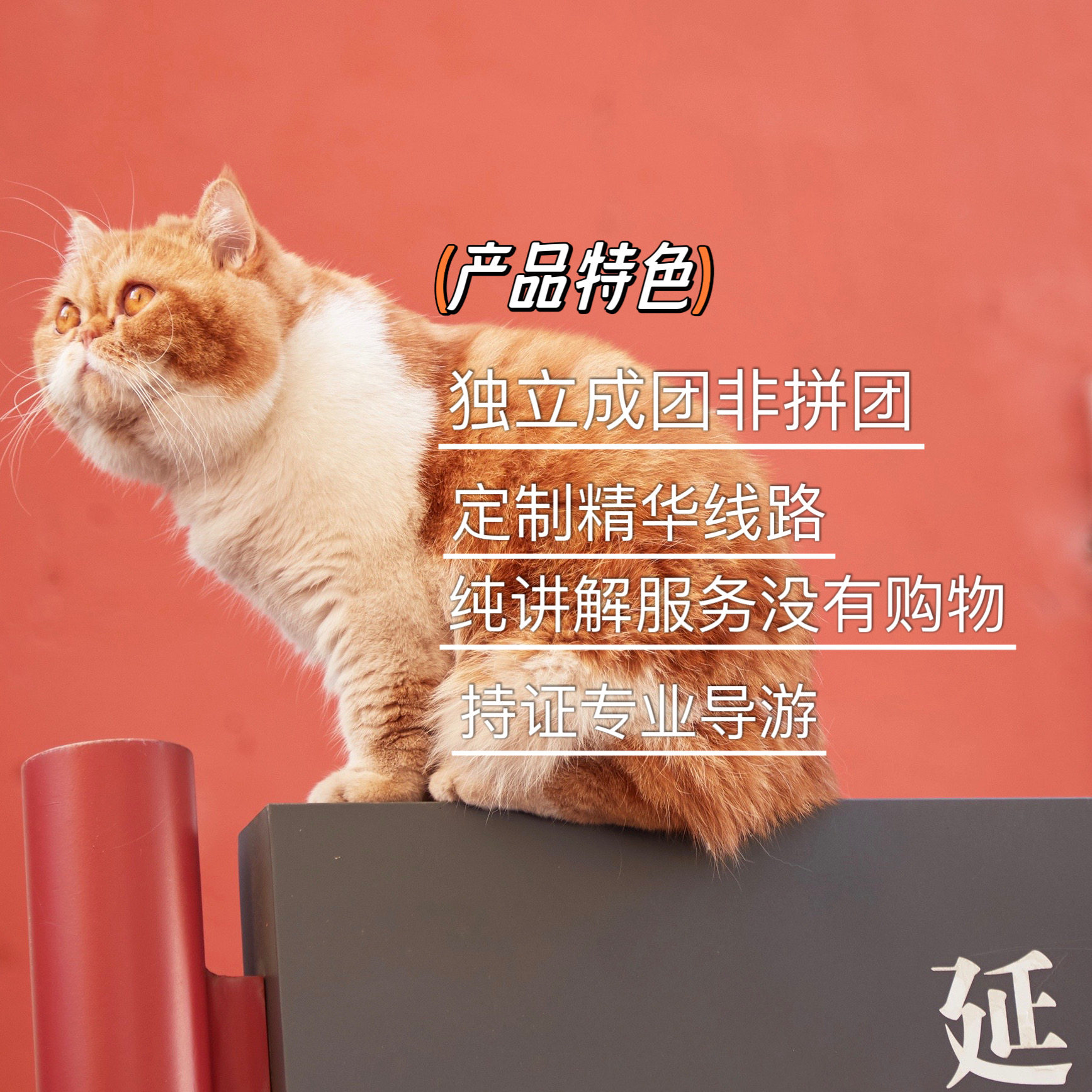 宫里宫外颐和园圆明园私家团讲解1对1不含票