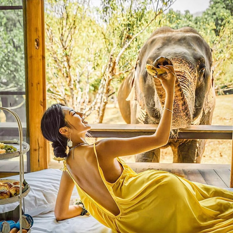 【豪华酒店】云南旅游昆明西双版纳6天5晚跟团亲子野象谷星光夜市