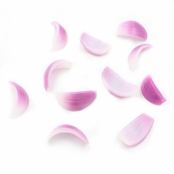 Simulated Onion Slices, Round Garlic Heads, Hot Pot Fruit and Vegetable Models, Food Display Decorations, Pretend Play Props