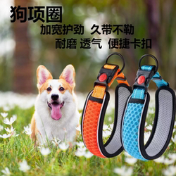 Dog Pet Collar, Neck Collar, Small and Medium-Sized Dog Leash, Dog Chain, Neck Ring, Pet Dog Collar, Pet Supplies