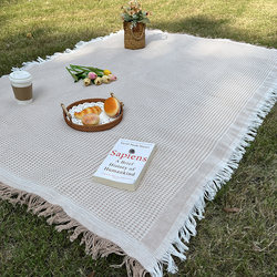 Picnic Mat French Style ins Outdoor Camping Universal Thickened Double-Sided Picnic Cloth Tablecloth Trendy Photo Mat