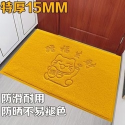 New Model of Yellow Floor Mat That Brings Wealth, Non-Slip, Dust-Removing, Sun-Resistant, Frost-Resistant, Extra-Thick Door Mat
