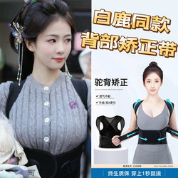 White Deer Same Style Posture Corrector for Men and Women, Adult Posture Correction Belt, Youth Student Back Stretching Beauty Back Device