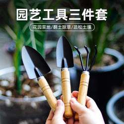 Household Shovel, Small Shovel for Potted Plants, Gardening Tool Set for Planting Flowers, Mini Three-Piece Set for Planting Succulents