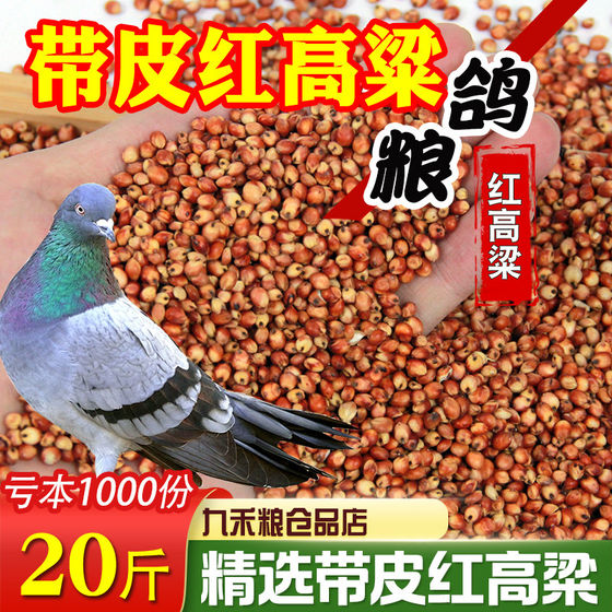 
Red sorghum feed pigeons grain shelled and skinned bird food homing pigeon ornamental pigeon meat pigeon grain feed 5*0.5kg20*0.5kg free shipping