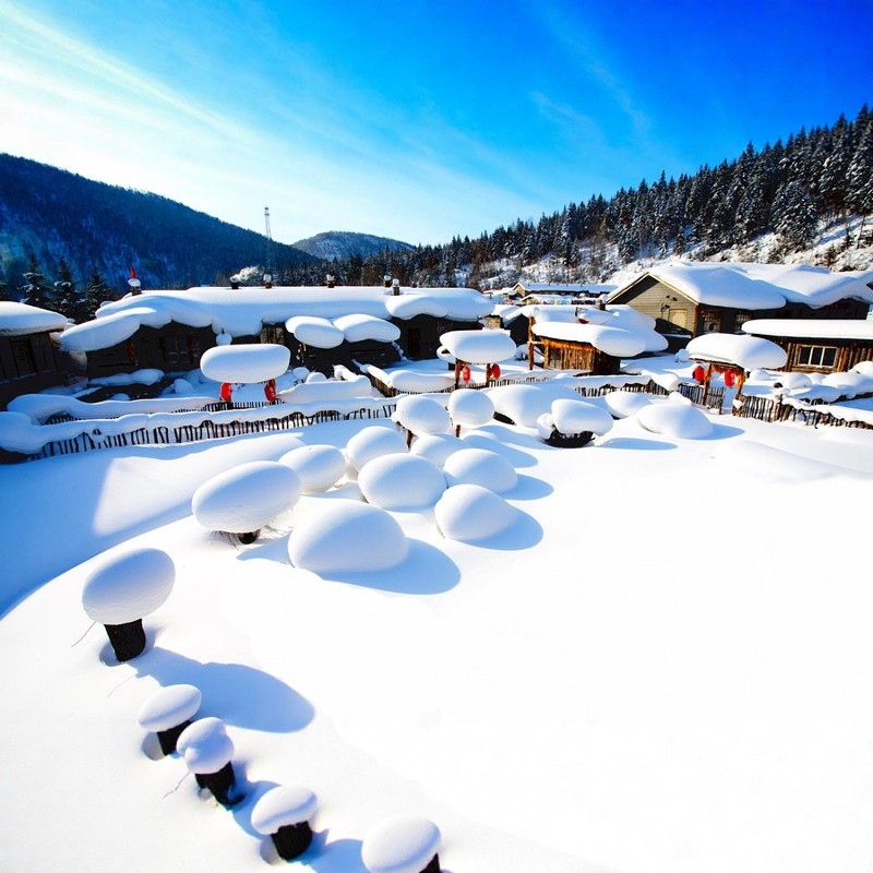 哈尔滨+雪乡5天4晚私家团