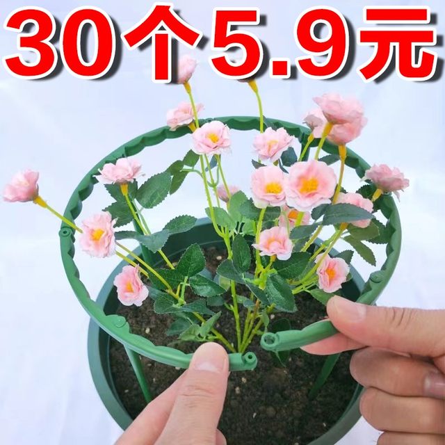 Plant support rod gardening bracket flower stand climbing vine bracket indoor balcony outdoor pothos crab claw orchid fixed bracket