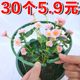Plant support rod gardening bracket flower stand climbing vine bracket indoor balcony outdoor pothos crab claw orchid fixed bracket