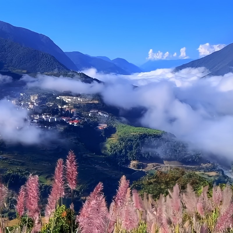 【墨脱来古5日】西藏旅游墨脱来古冰川巴松措大峡谷格林村然乌湖