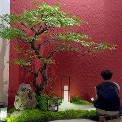 High-End Artificial Maple Tree Decoration Fake Green Plant Chicken Claw Maple Window Plant Landscape Indoor Bonsai Set