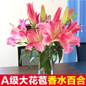 Yunnan Flower Base straight hair perfume Lily fresh cut flowers real flowers and sunflower roses mix and match flower bundle, heavy petal lily
