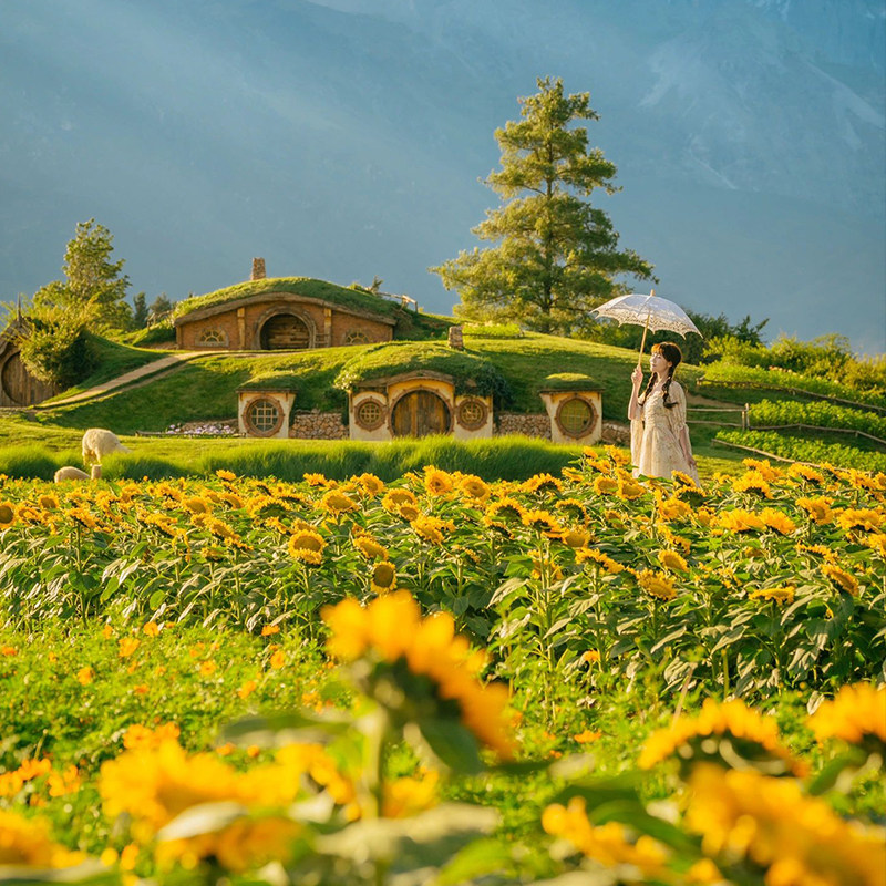 【单人可定】纯玩无购物0自费昆明大理丽江6天云南旅游旅拍双表演