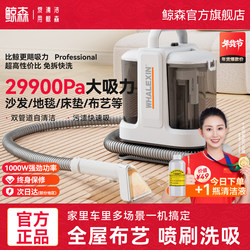 Whalesen Fabric Sofa Cleaning Machine, No-Disassembly Cleaning, Household Carpet Suction, Integrated Curtain, Bed Sheet, Mattress Cleaning Tool