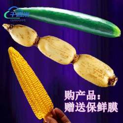 Simulated Fake Fruits and Vegetables of Various Sizes, Soft Store Decorations, Bitter Green Cucumber and Eggplant Ornaments, Silicone Kitchen Props